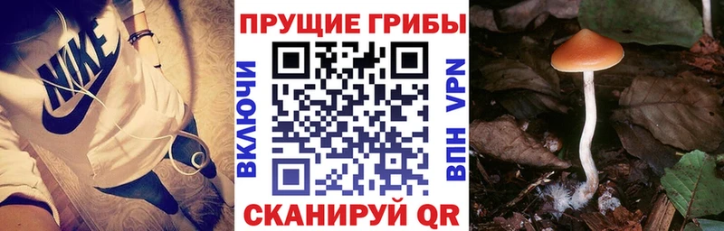 Галлюциногенные грибы GOLDEN TEACHER  kraken сайт  Слободской 